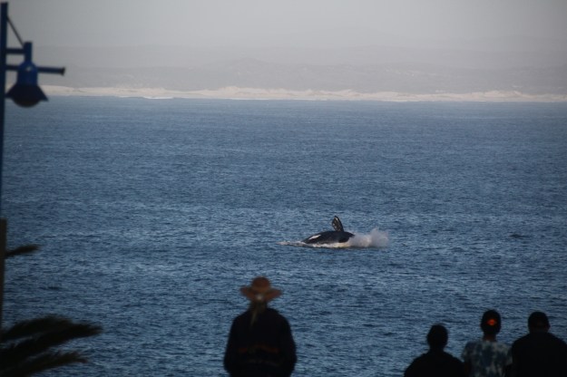 1724EB78-0BF4-4C5A-8767-FF54FED990C5