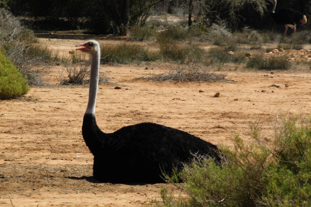 29604A54-05FC-4AD8-9619-4143DDA379C2