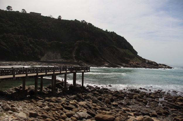 436C4CFA-01A5-43C9-8627-8C95AC865485