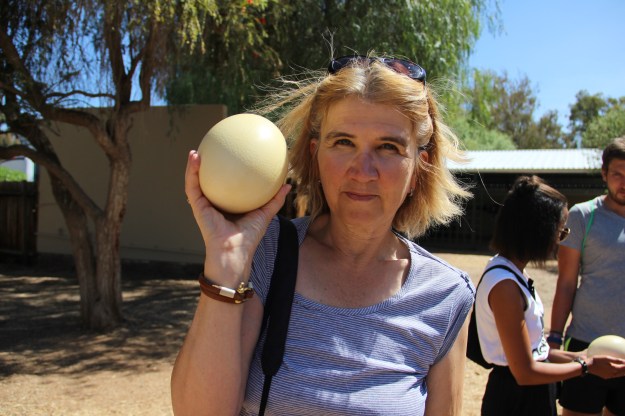 4F4A5D4C-3B2E-4869-ACA4-CE3F21F2844A