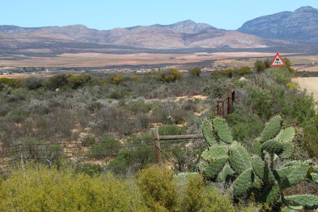 59EE59A6-F86E-44EE-8B01-18E42A83444A