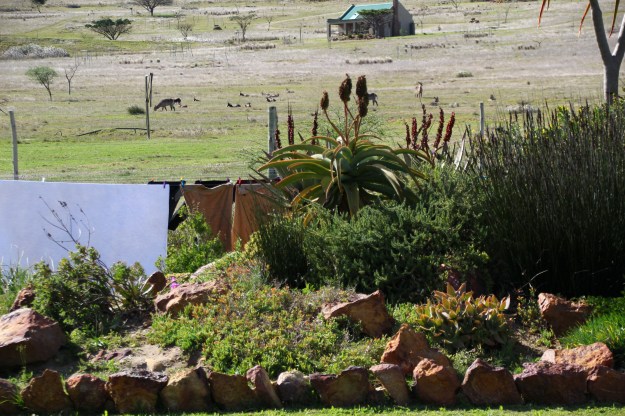 7DCCF555-B92A-476B-B27F-46879483DE05