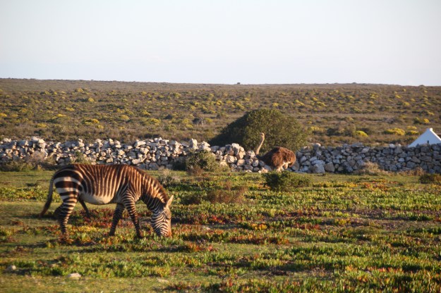 8688F4FC-7009-4BF0-BEED-9ADB9E1D11A4