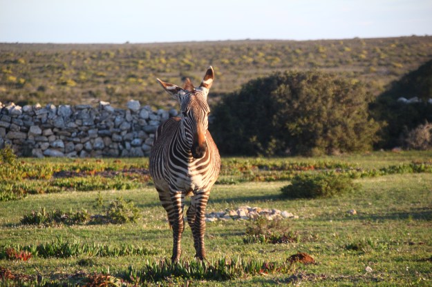 948D76FC-6707-4E18-8591-9E648647E0C3