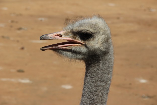 9DBE99ED-AD39-4DCE-9392-76C5AFD40297