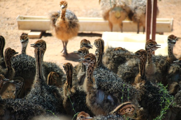 9FF0B38F-EF5B-4665-8A00-9030BDD4A3E2