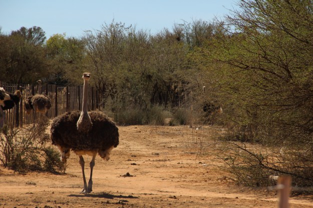 D20FB3FC-C331-4553-9889-1F77BC52EF57