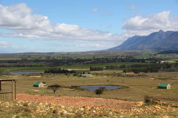 E8937D64-035C-40B8-A95E-5279201D06EB