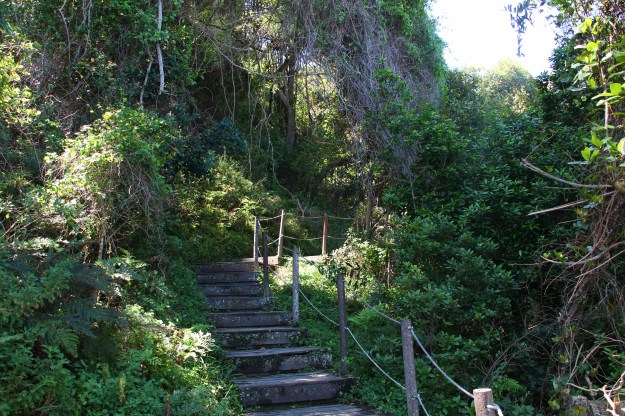 F6D62B20-0859-47E5-A45E-9DA776BED28F